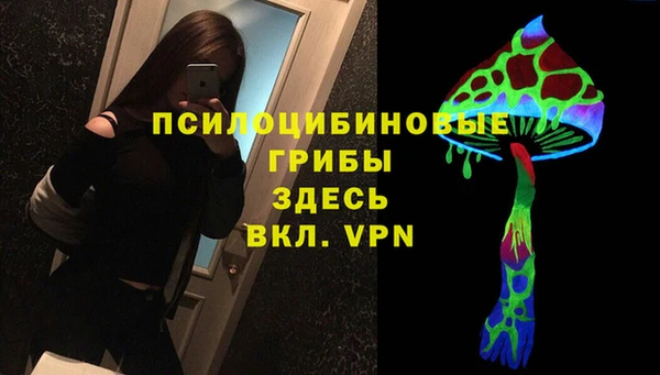 spice Россошь